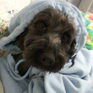 Meet your Posher, Rayma